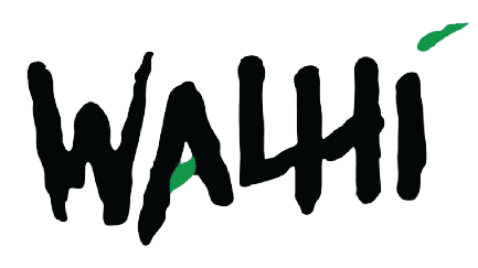 Pantau Lingkungan WALHI